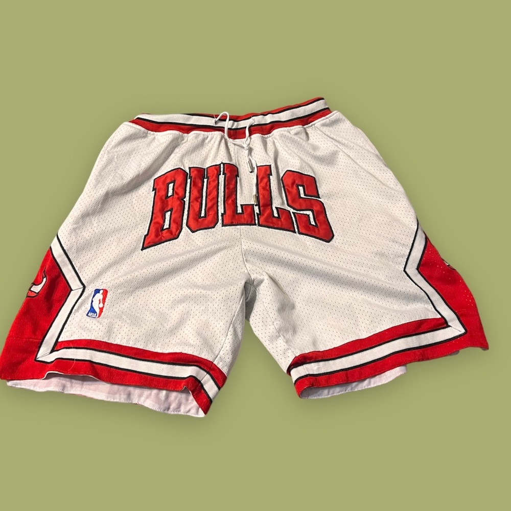 men’s basketball “the bulls” shorts